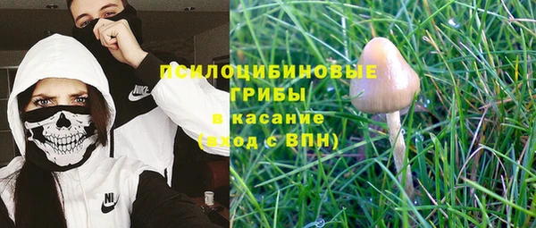 эйфоретик Магас
