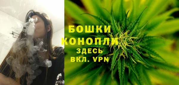 эйфоретик Магас